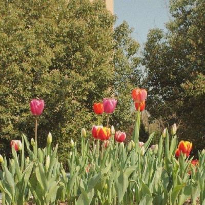 ballbet贝博官网app