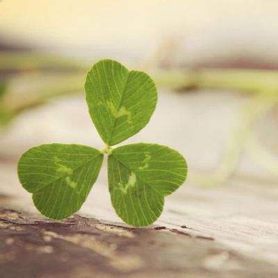 南宫体育app下载手机app下载截图