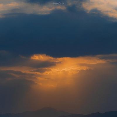 乐鱼娱乐app下载手机版