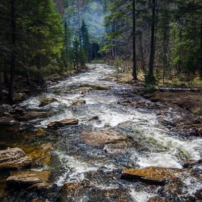 星空体育官方网站