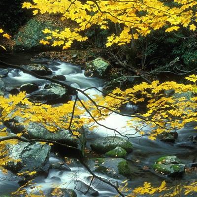 风云体育app官网入口